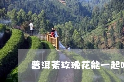 普洱茶玫瑰花能一起喝/2023061553825