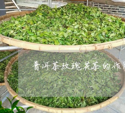 普洱茶玫瑰花茶的作用/2023073184149