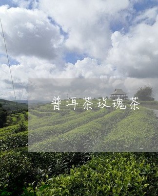 普洱茶玫瑰茶/2023042857415