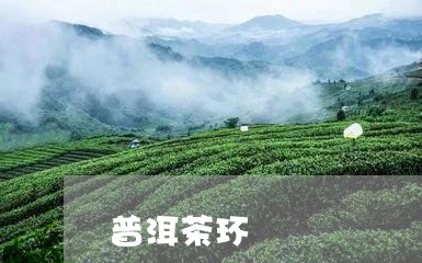 普洱茶环/2023110865350