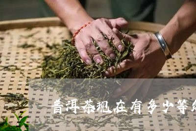 普洱茶现在有多少等级/2023062804159