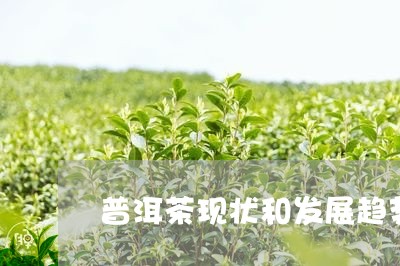 普洱茶现状和发展趋势/2023092848349