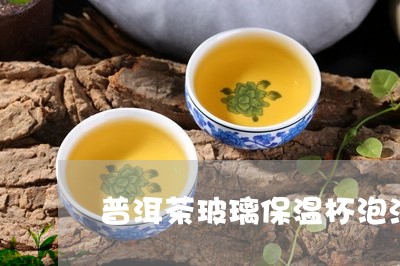 普洱茶玻璃保温杯泡法/2023092759615