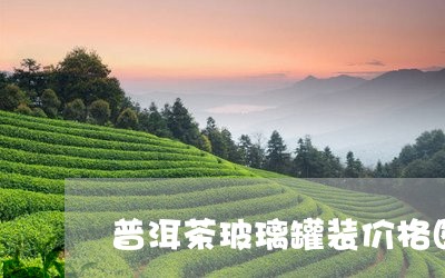 普洱茶玻璃罐装价格图片/2023050660683