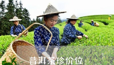 普洱茶珍价位/2023042787768