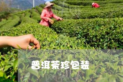 普洱茶珍包装/2023042652909