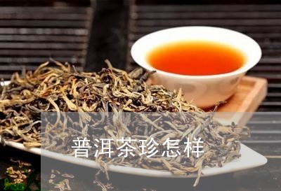 普洱茶珍怎样/2023042630299