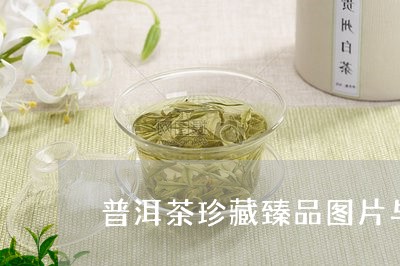 普洱茶珍藏臻品图片与价格/2023110726159