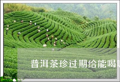 普洱茶珍过期给能喝呢/2023062895941