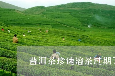 普洱茶珍速溶茶过期了能喝吗/2023112616268