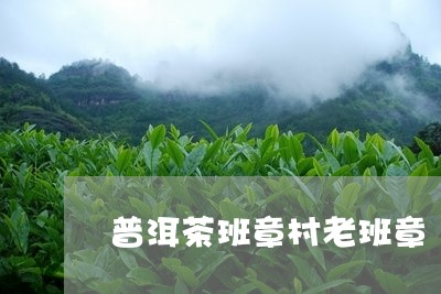 普洱茶班章村老班章/2023071198371