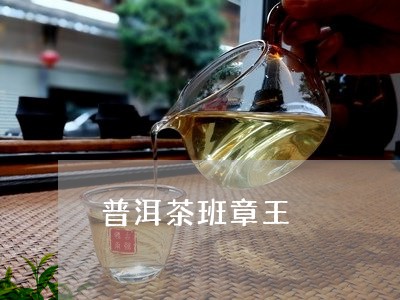 普洱茶班章王/2023042921041