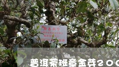 普洱茶班章金芽2000千克/2023052727151