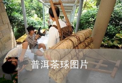 普洱茶球图片/2023042690365