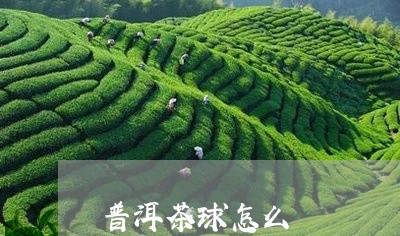 普洱茶球怎么/2023042732381