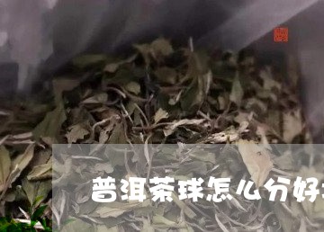 普洱茶球怎么分好坏/2023120552828