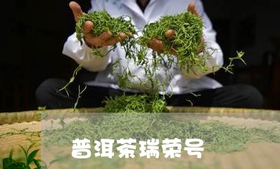 普洱茶瑞荣号/2023042500018