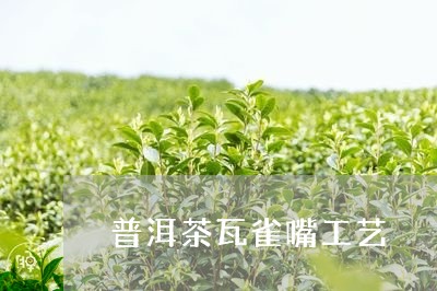 普洱茶瓦雀嘴工艺/2023120463726