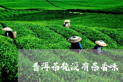 普洱茶瓶没有茶香味/2023112715849