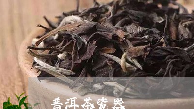 普洱茶瓷器/2023090686171