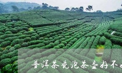 普洱茶瓷泡茶壶好不好/2023121749472