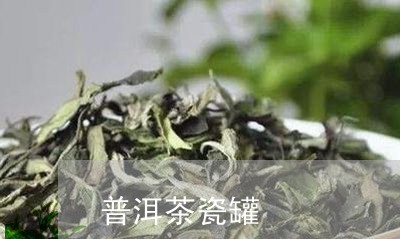 普洱茶瓷罐/2023090504616