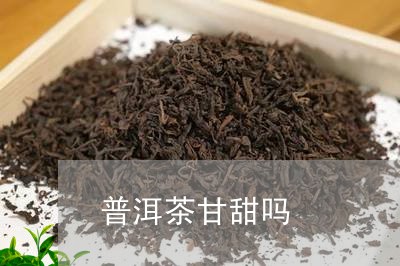 普洱茶甘甜吗/2023042697827