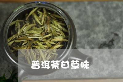 普洱茶甘草味/2023042661376