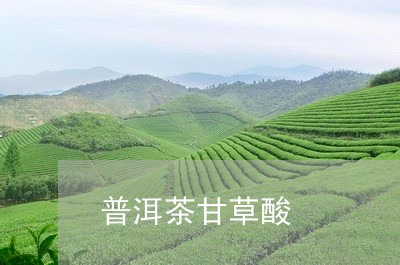 普洱茶甘草酸/2023042860043