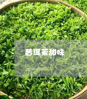 普洱茶甜味/2023090523847