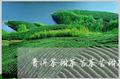 普洱茶甜茶苦茶苦甜茶/2023100735047