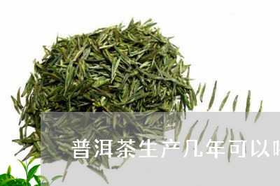 普洱茶生产几年可以喝/2023100781694