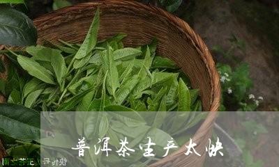 普洱茶生产太快/2023120360714