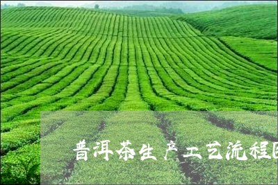 普洱茶生产工艺流程图示/2023050523960