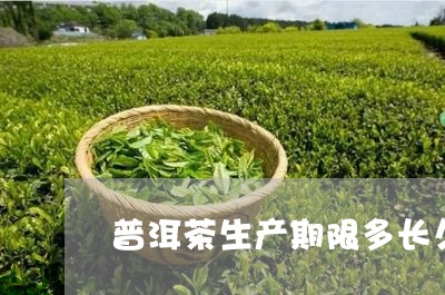 普洱茶生产期限多长久一次/2023083021705