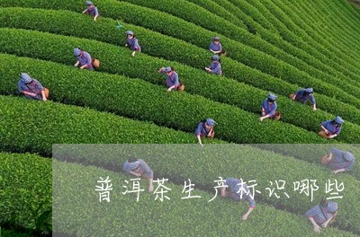 普洱茶生产标识哪些/2023091418473