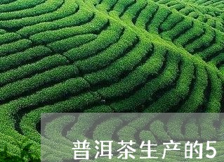 普洱茶生产的5个过程/2023062170694