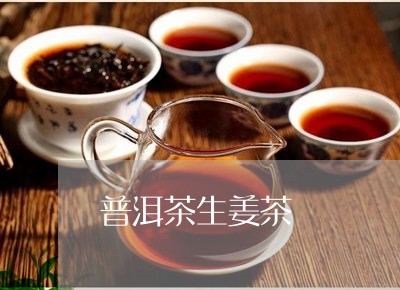 普洱茶生姜茶/2023042824683