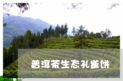 普洱茶生态孔雀饼/2023120498360