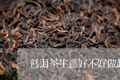 普洱茶生意好不好做起来/2023083002058