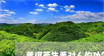 普洱茶生普对人的功效/2023072382026