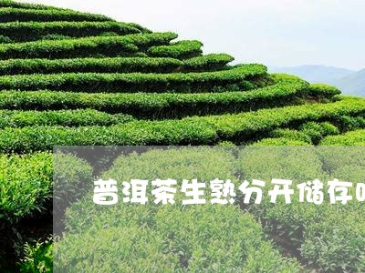 普洱茶生熟分开储存吗/2023080341415