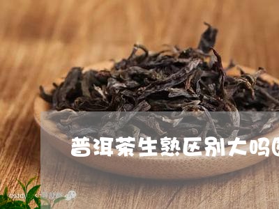 普洱茶生熟区别大吗图片/2023083054148