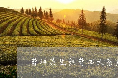 普洱茶生熟普四大茶厂/2023092958460