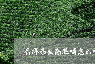 普洱茶生熟混喝怎么喝/2023061731683