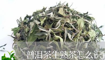 普洱茶生熟茶怎么识别/2023062822029