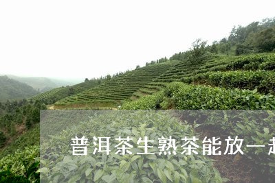 普洱茶生熟茶能放一起/2023062246167