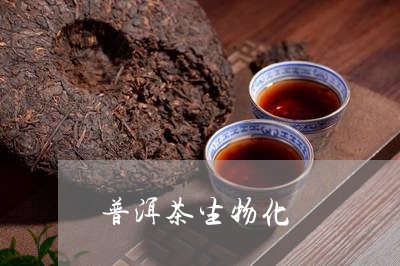 普洱茶生物化/2023042663154