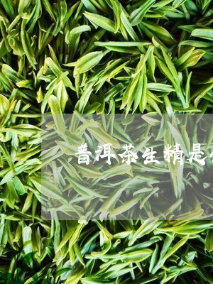 普洱茶生精是什么意思/2023092907260