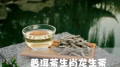 普洱茶生肖龙生茶/2023120469506